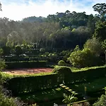 Valverde Palacio De Seteais - The Leading Of The World